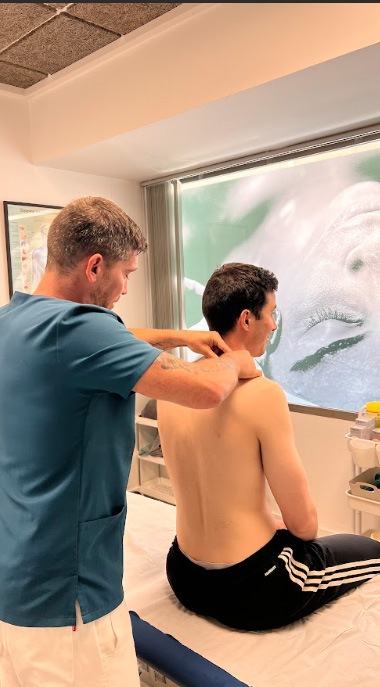 Fisioterapia rehabilitadora — listado de servicios